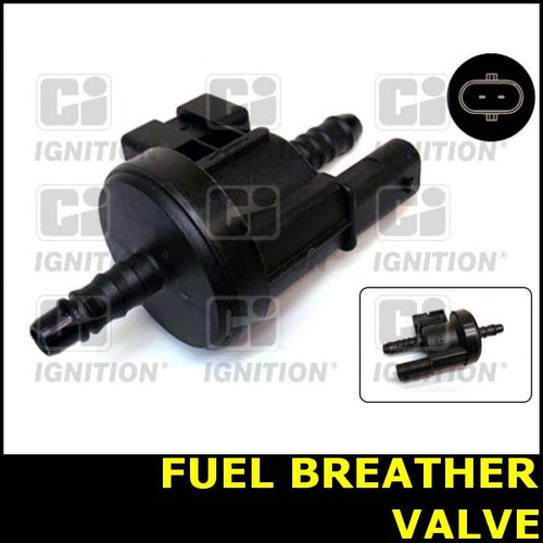 Fuel ventilation breather - fuel,