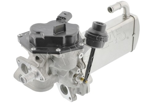 Exhaust gas recirculation - exhaust,